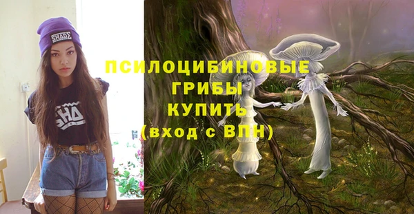 первитин Абинск