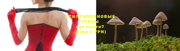 мяу мяу мука Абаза