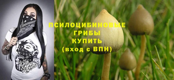 первитин Абинск