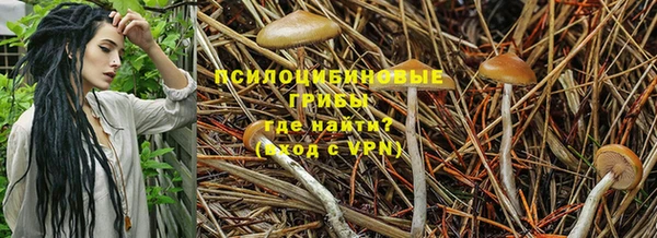мяу мяу мука Абаза