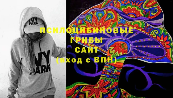 мяу мяу мука Абаза