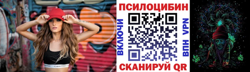 Псилоцибиновые грибы прущие грибы  цена   Судогда 